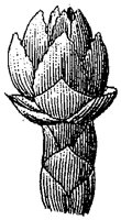 HPN070CW.TIF
