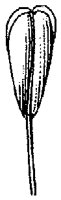 HPN070CJ.TIF