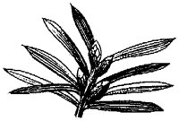 HPN070BZ.TIF