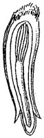 HPN070BQ.TIF