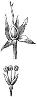HPN070BA.TIF