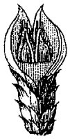 HPN070AZ.TIF