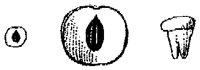 HPN070AP.TIF