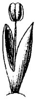 HPN070AN.TIF
