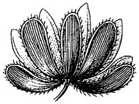 HPN070AG.TIF