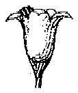 HPN069CP.TIF