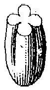 HPN069CI.TIF