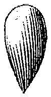 HPN069CH.TIF