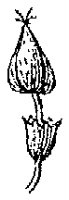 HPN069CA.TIF