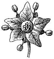 HPN069BU.TIF