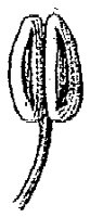 HPN069BS.TIF