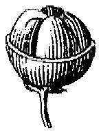 HPN069BQ.TIF