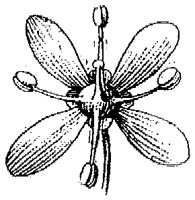 HPN069BJ.TIF