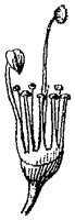 HPN069BI.TIF