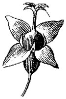 HPN069BF.TIF