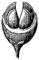 HPN069BC.TIF