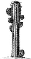HPN069BA.TIF