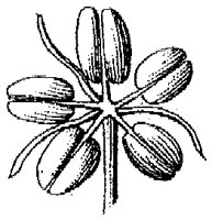 HPN069AY.TIF