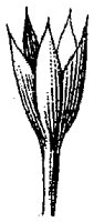 HPN069AR.TIF