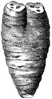 HPN069AG.TIF