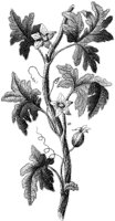 HPN069AC.TIF