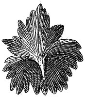 HPN068CH.TIF