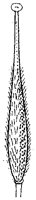 HPN068CC.TIF