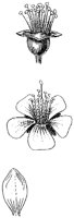 HPN068BZ.TIF
