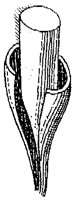 HPN068BU.TIF
