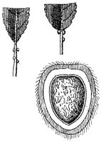 HPN068BQ.TIF