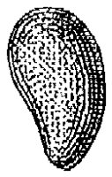 HPN068BL.TIF
