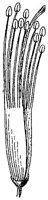 HPN068BI.TIF