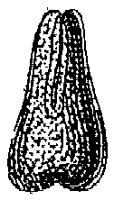 HPN068BC.TIF