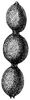 HPN068AZ.TIF