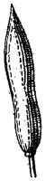 HPN068AY.TIF
