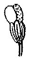 HPN068AW.TIF