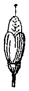HPN068AU.TIF