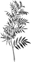 HPN068AS.TIF