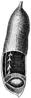 HPN068AL.TIF