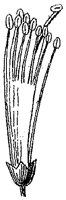 HPN068AH.TIF