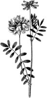 HPN068AG.TIF