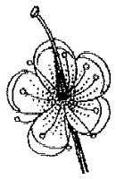 HPN068AA.TIF