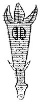 HPN067CT.TIF