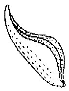 HPN067BV.TIF