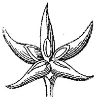 HPN067BU.TIF