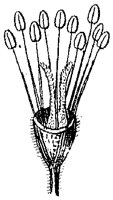 HPN067BQ.TIF