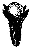 HPN067AR.TIF