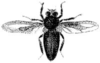 HPN075CA.TIF