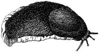 HPN075BA.TIF