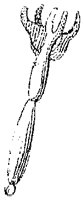 HPN074DE.TIF